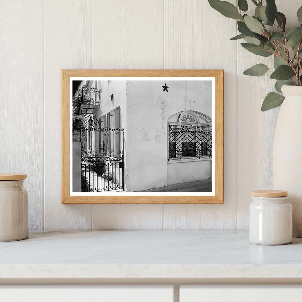 Charleston SC Architectural Detail Photo 1953