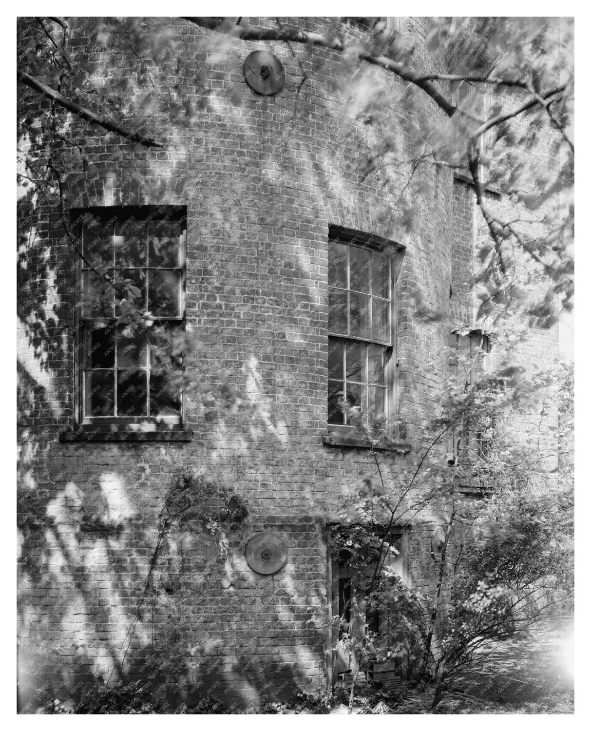 Charleston SC Architecture 1790 Vintage Photograph
