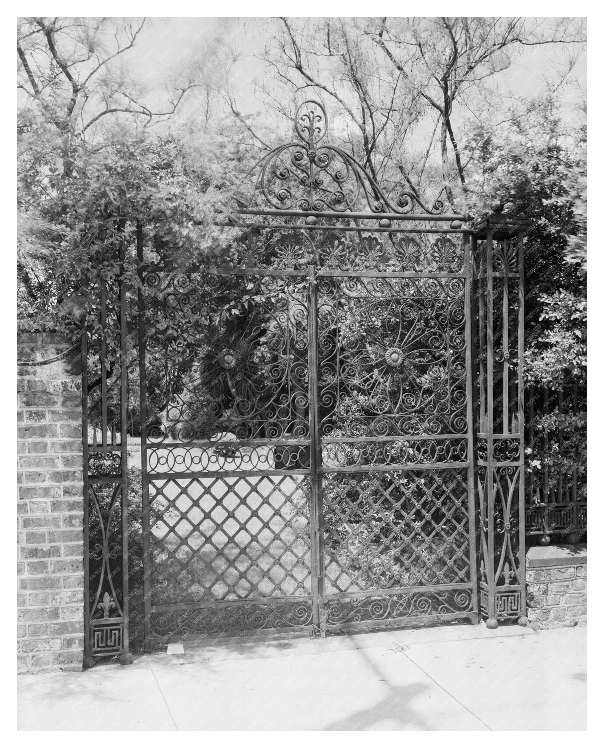 Pettus House Photo, Charleston SC, Early 1900s