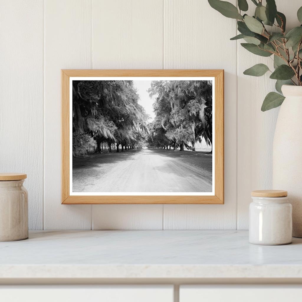 Mount Pleasant SC Landscape Photo, 1843