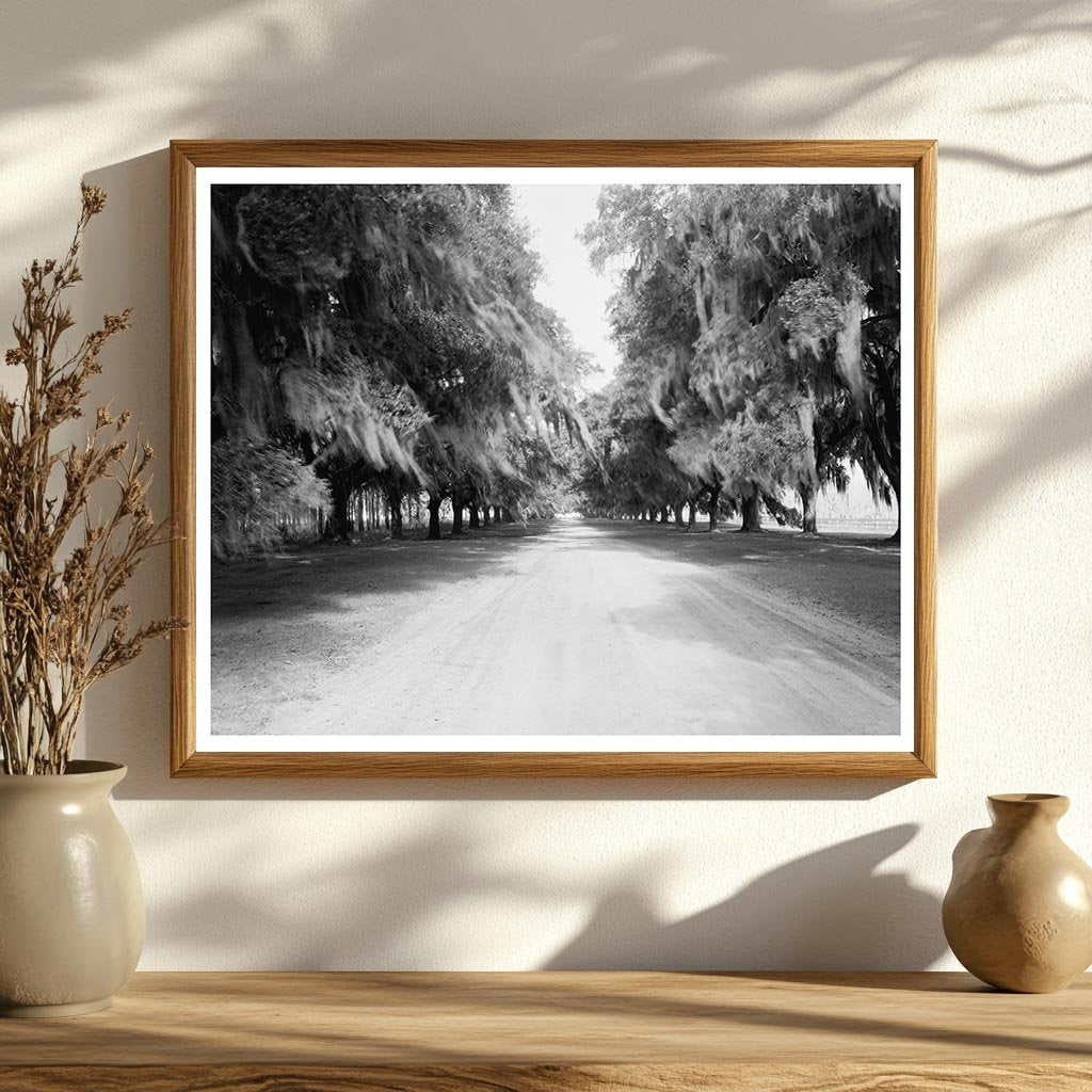 Mount Pleasant SC Landscape Photo, 1843
