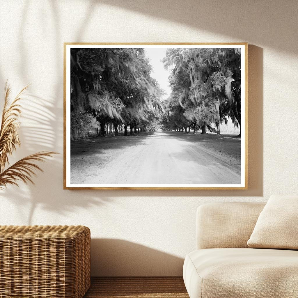Mount Pleasant SC Landscape Photo, 1843