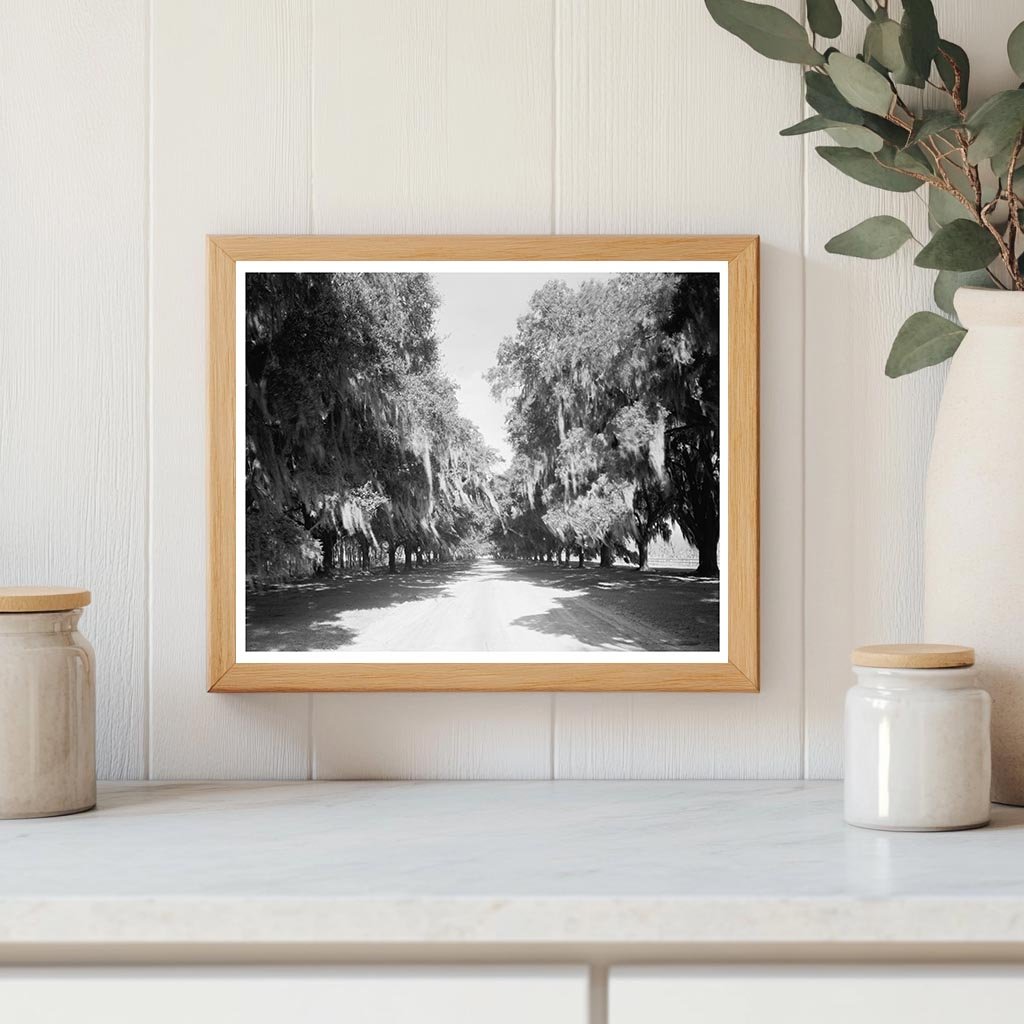 Mount Pleasant SC Vintage Photo from 1938