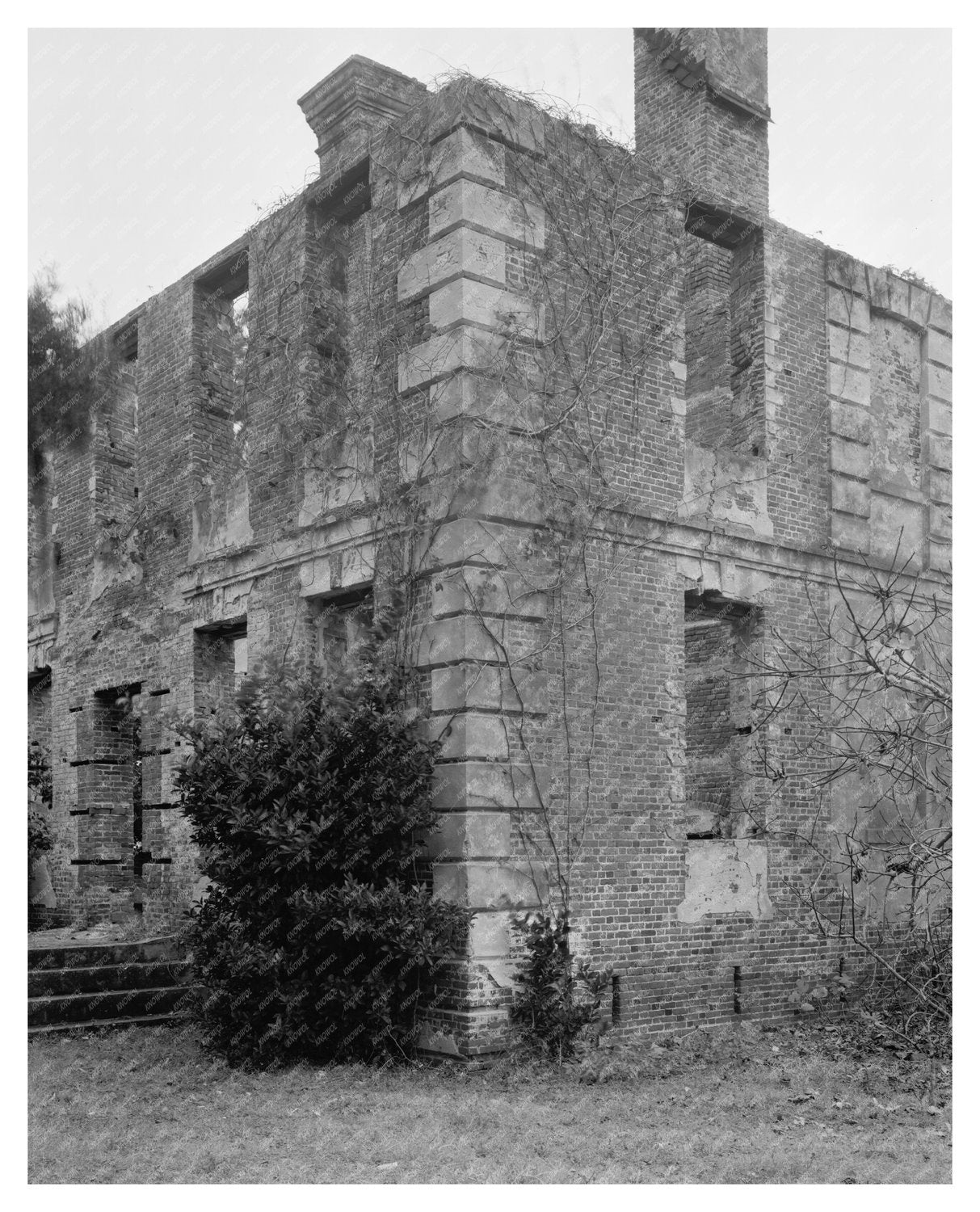 Jenkins House, Edisto Island SC, 1725 Vintage Photo