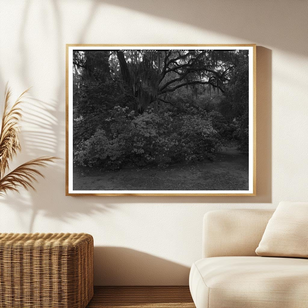 Charleston SC Garden Scene Photo, 1938 History