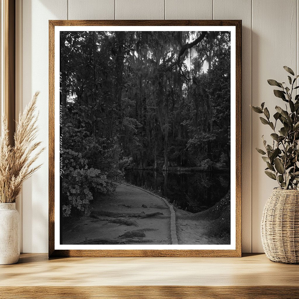 Charleston SC Garden Scene, 1938 Vintage Photograph