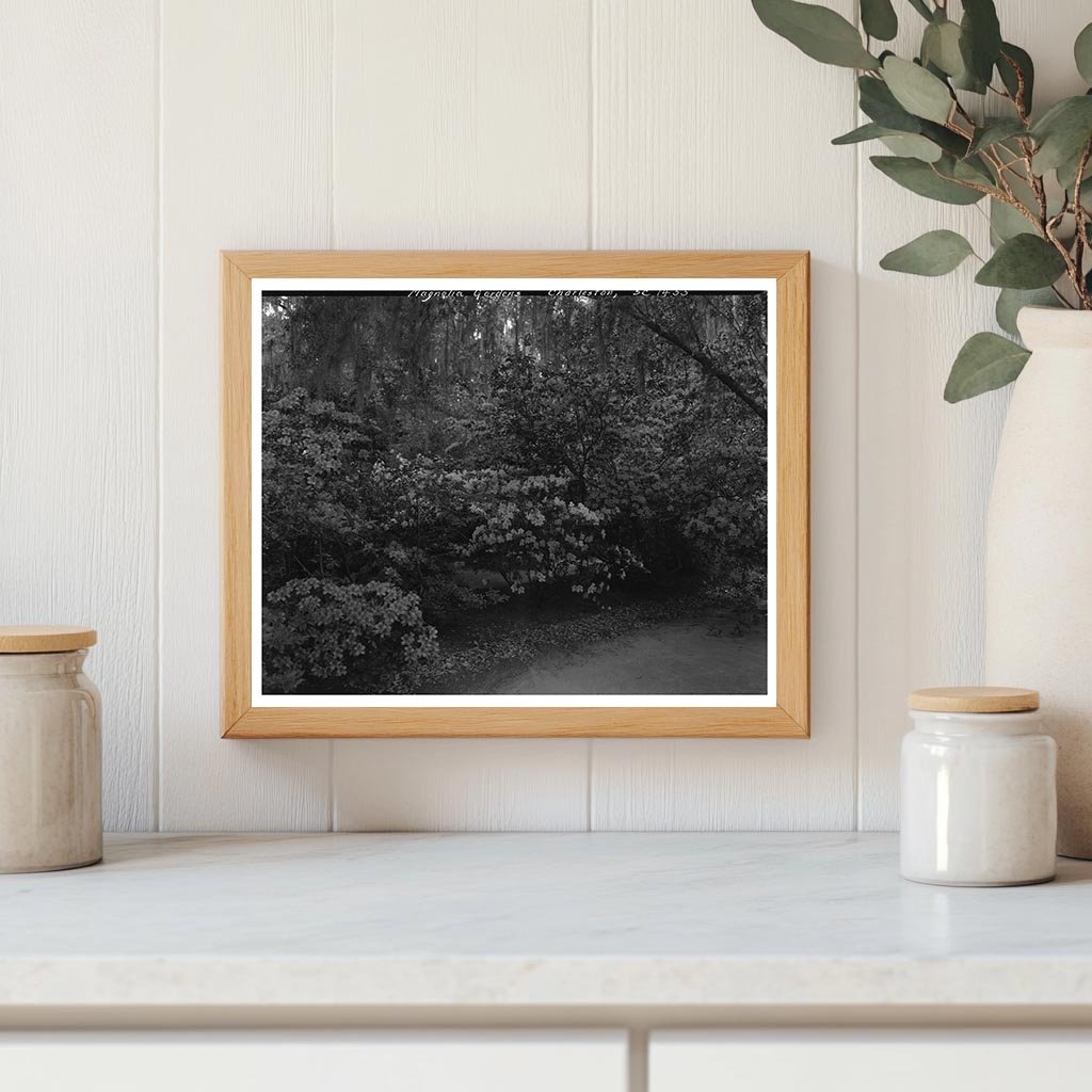 Charleston Gardens, SC 1938: A Vintage Landscape Photo