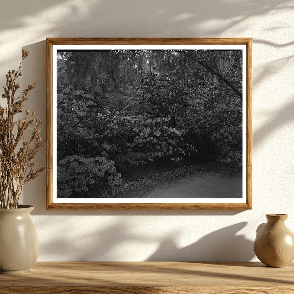 Charleston Gardens, SC 1938: A Vintage Landscape Photo