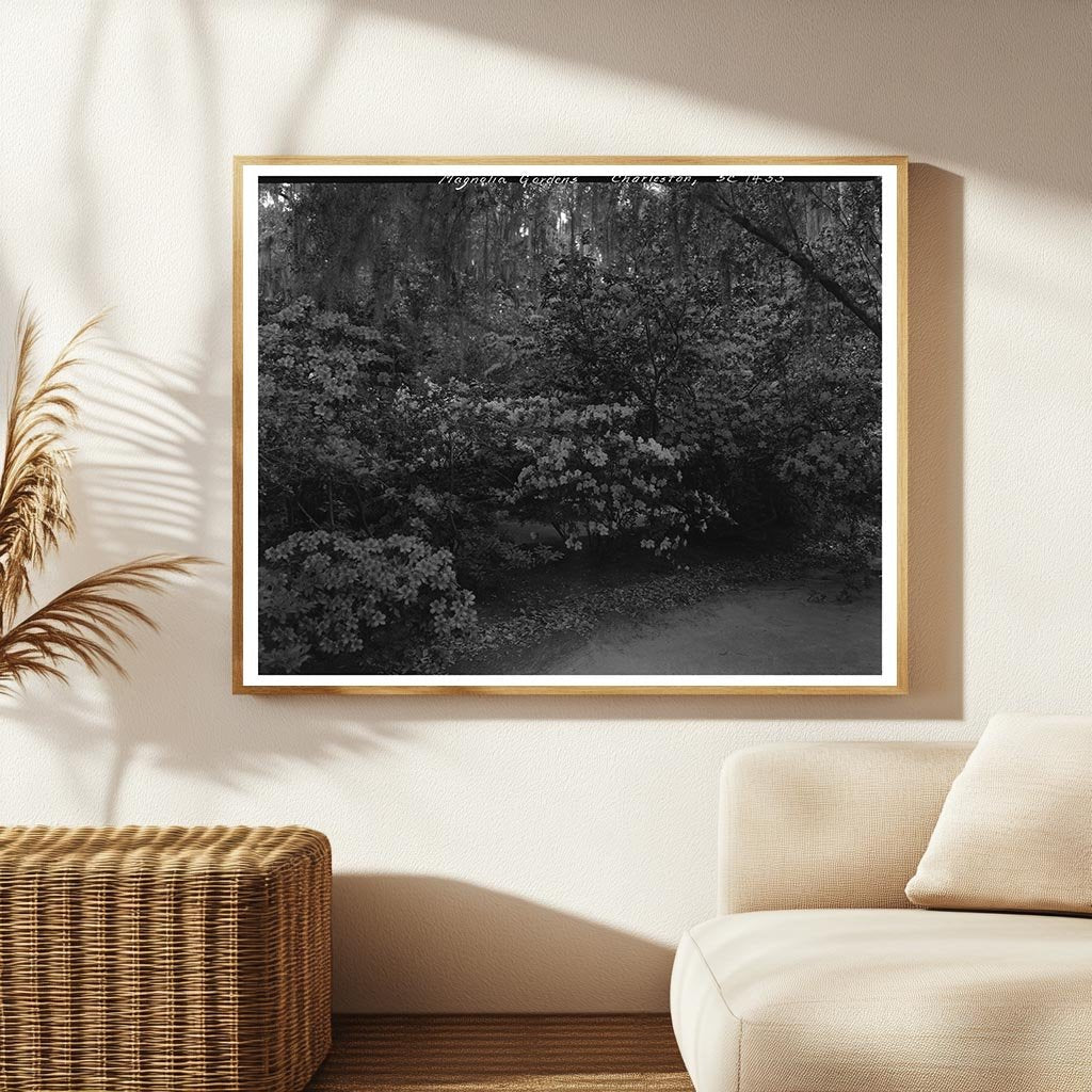 Charleston Gardens, SC 1938: A Vintage Landscape Photo