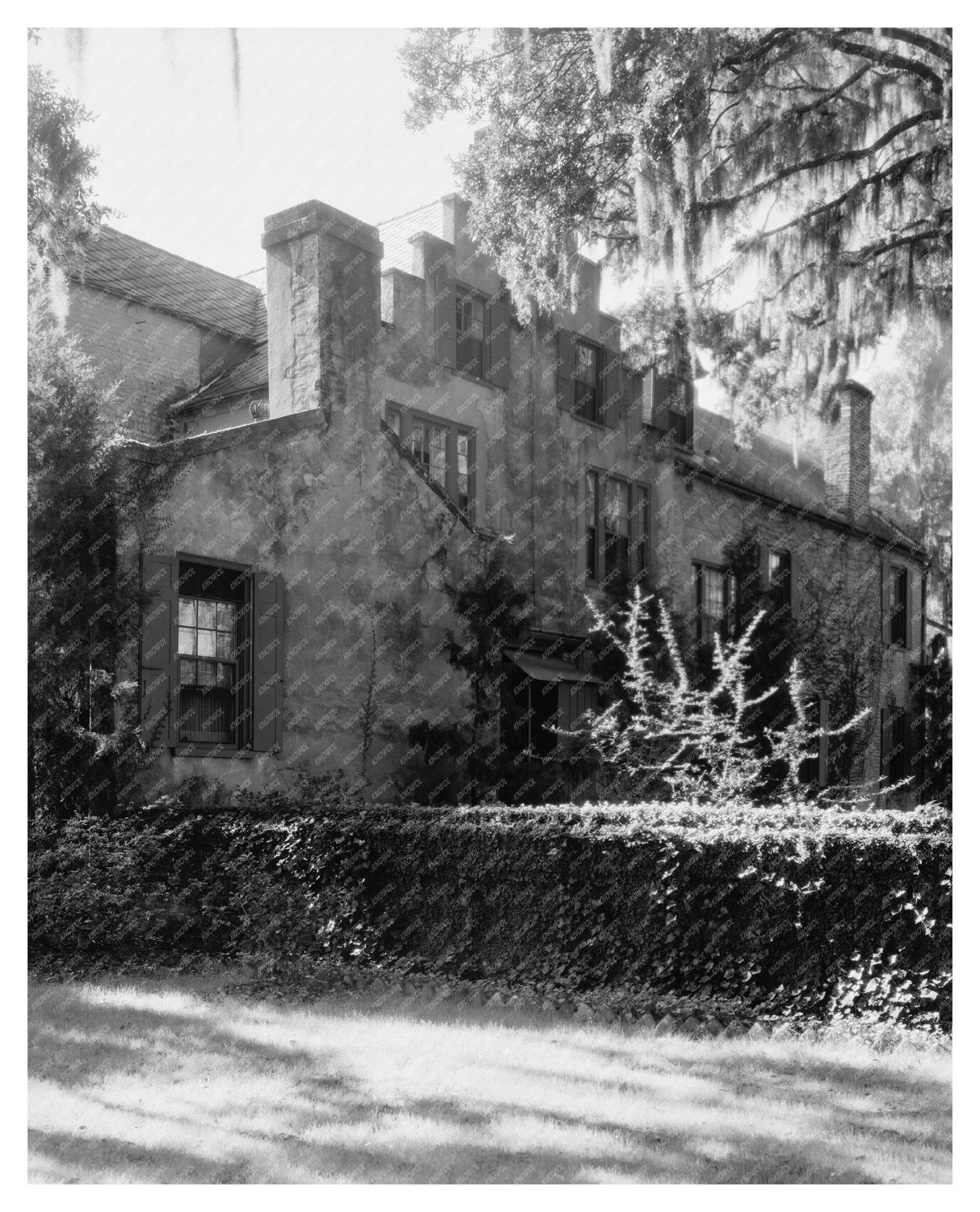 Historic Building in Goose Creek, SC - 1686 Vintage Photo
