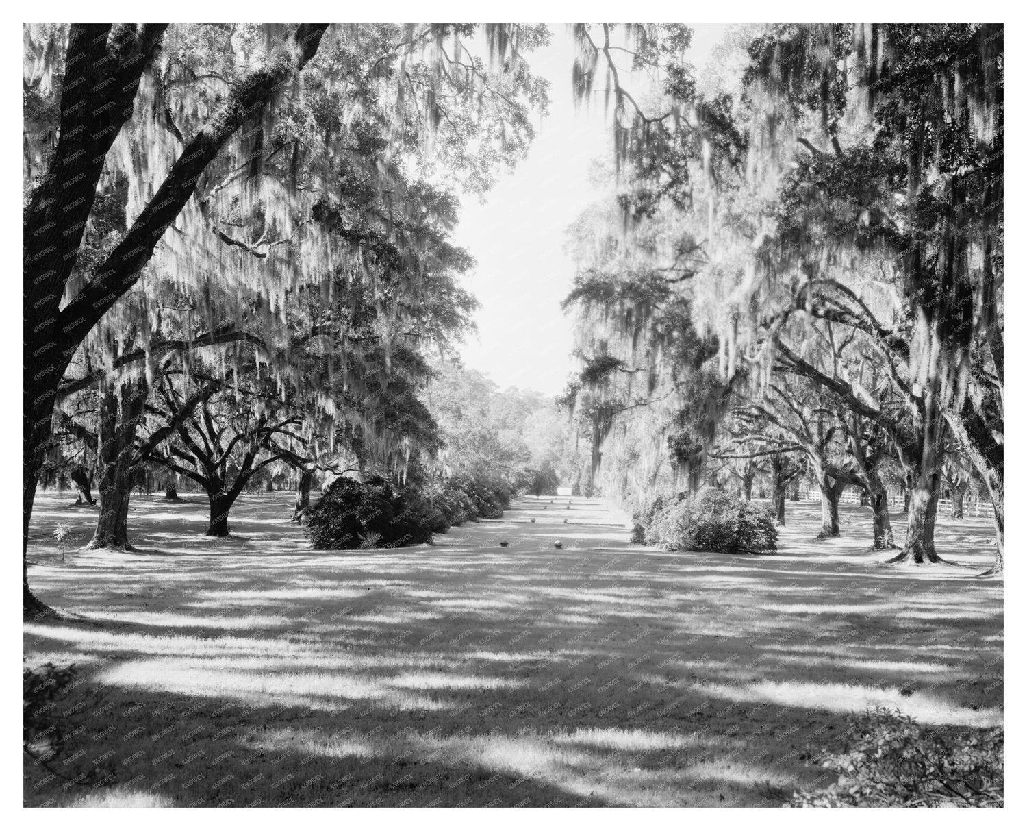 Goose Creek, SC: Historic House Built in 1686