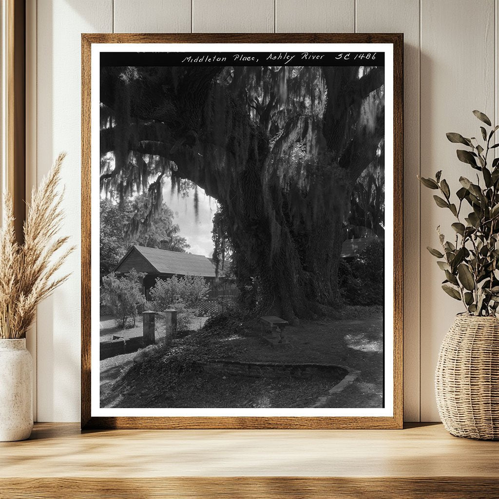 Historic 1755 Plantation, Dorchester County, SC 1938