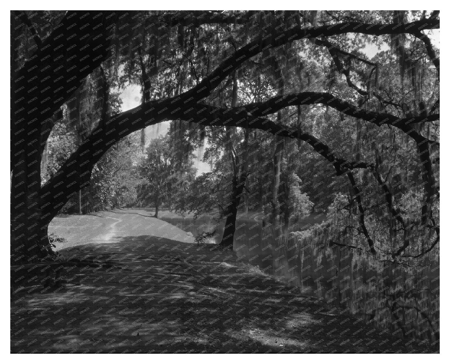 Historic Structure Near Ashley River, SC - 1755 Photo