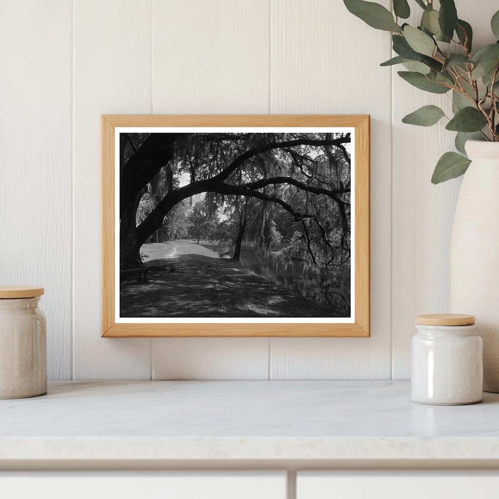 Historic Structure Near Ashley River, SC - 1755 Photo