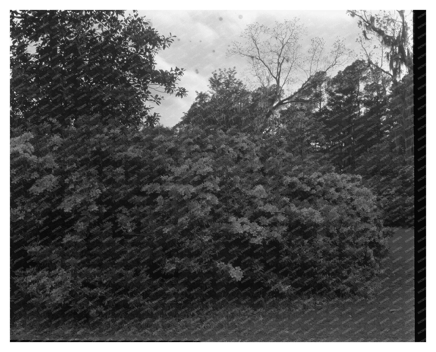 Historic House near Ashley River, Dorchester County SC 1755