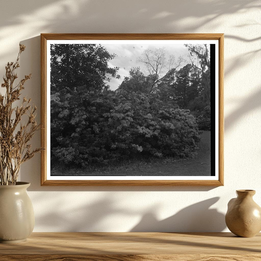 Historic House near Ashley River, Dorchester County SC 1755