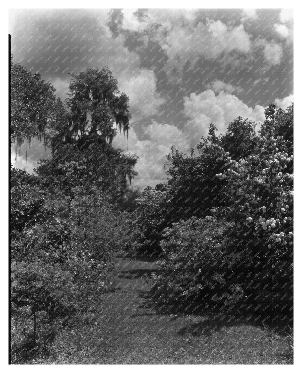 Historic Structure Near Ashley River, Dorchester SC 1755