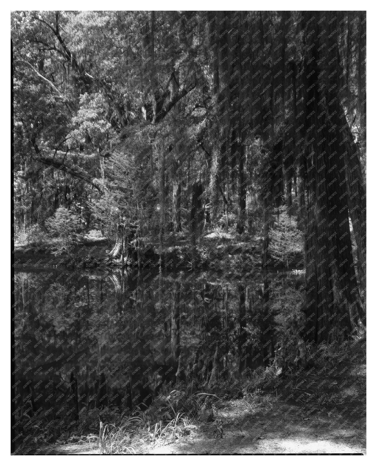 1755 Structure Near Ashley River, Dorchester County, SC