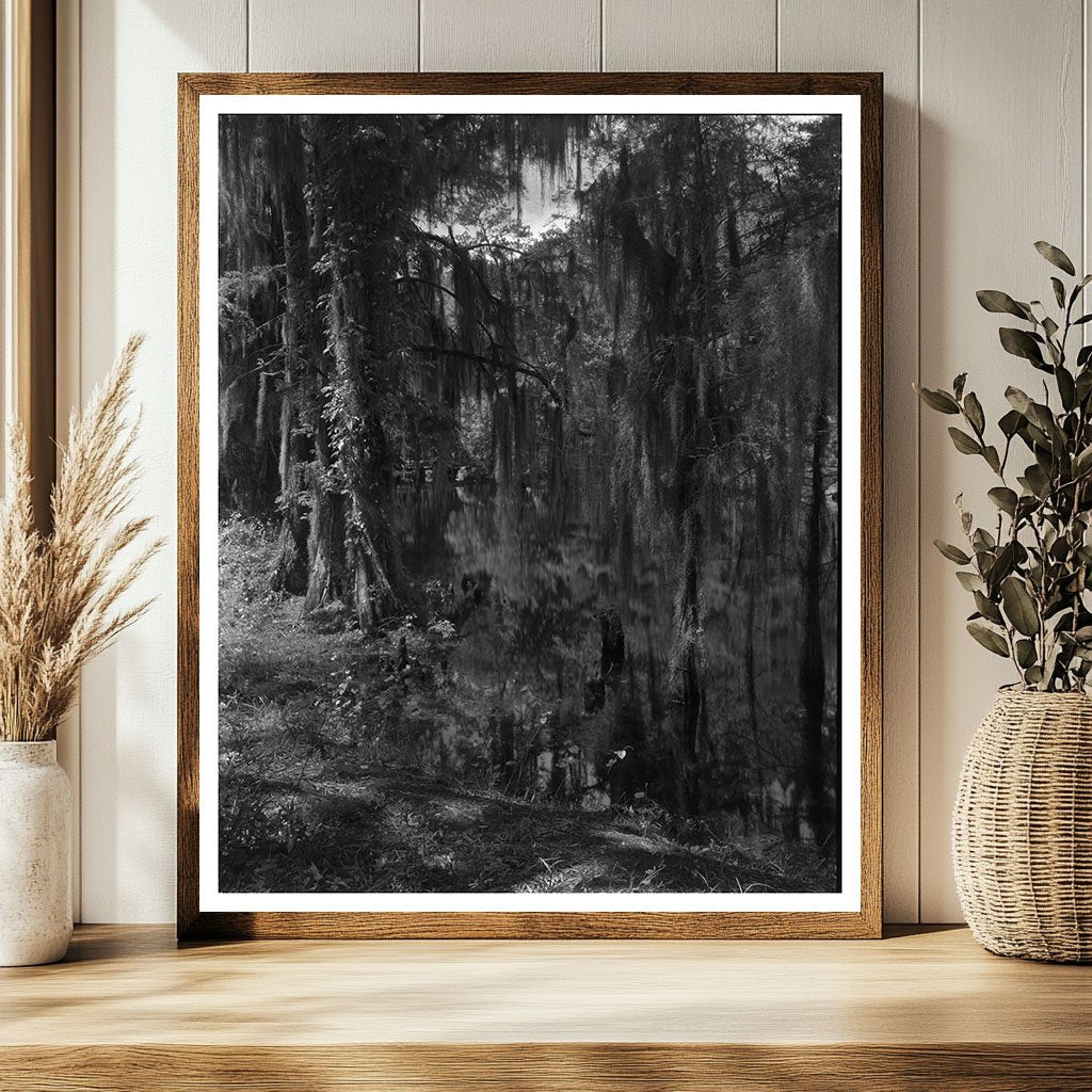 Historic Ashley River, Dorchester County, SC 1755 Image