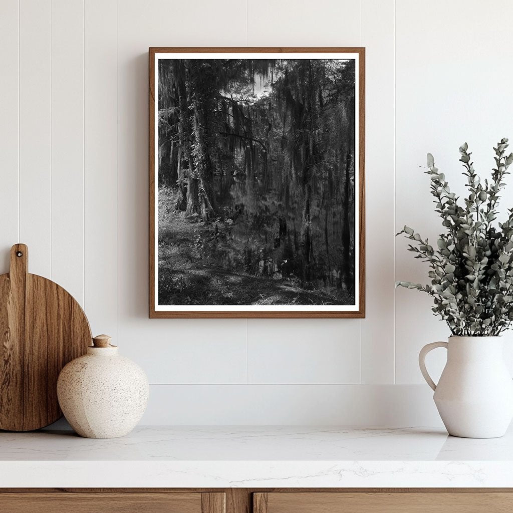 Historic Ashley River, Dorchester County, SC 1755 Image