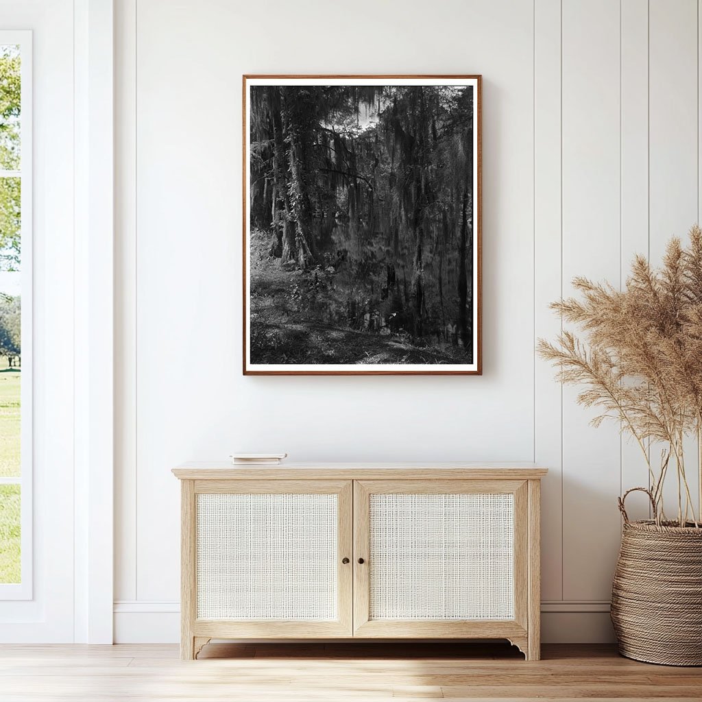 Historic Ashley River, Dorchester County, SC 1755 Image