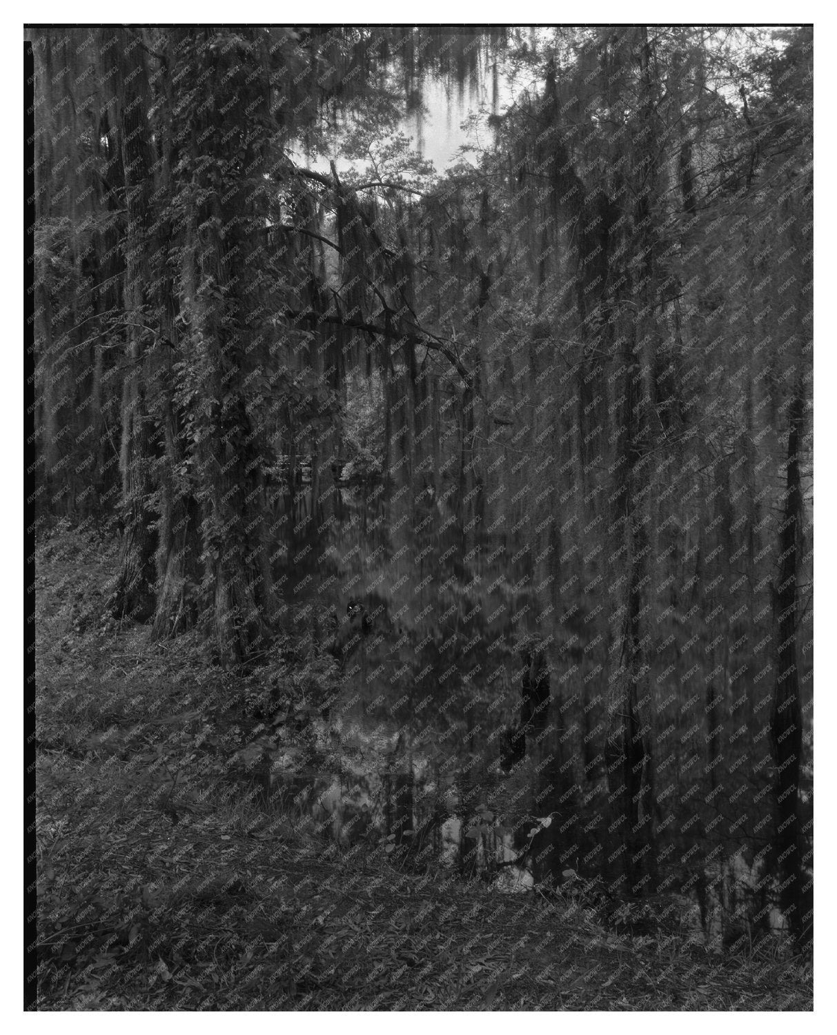 Historic Structure by Ashley River, Dorchester, SC 1755