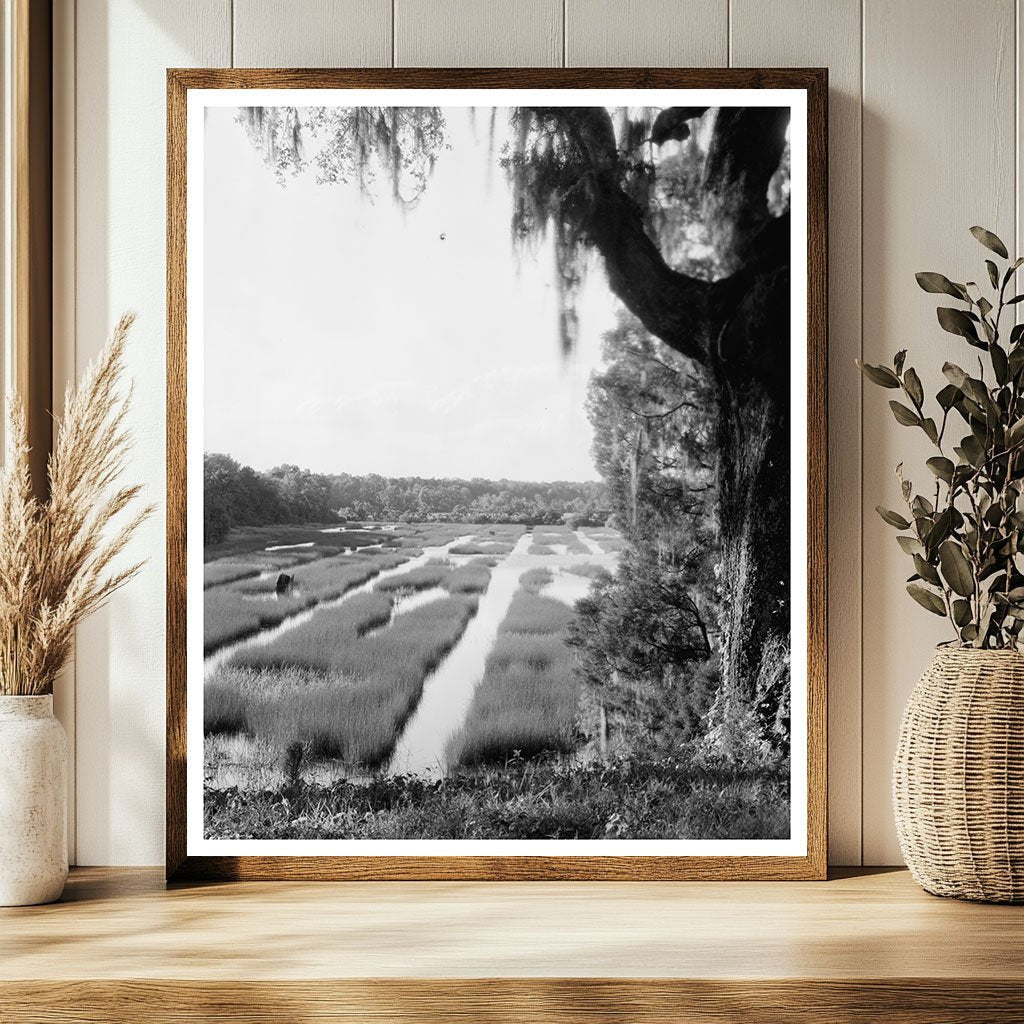 Historic Building in Moncks Corner, SC, 1714 Photo