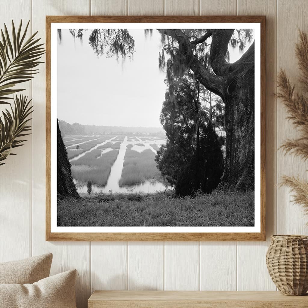 Moncks Corner SC Vintage Landscape Photograph 1910s