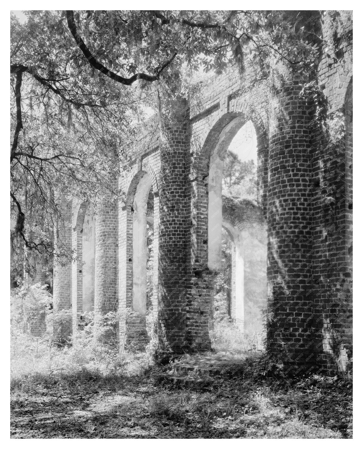 Historic Building in Sheldon, SC - 1753 Remnants