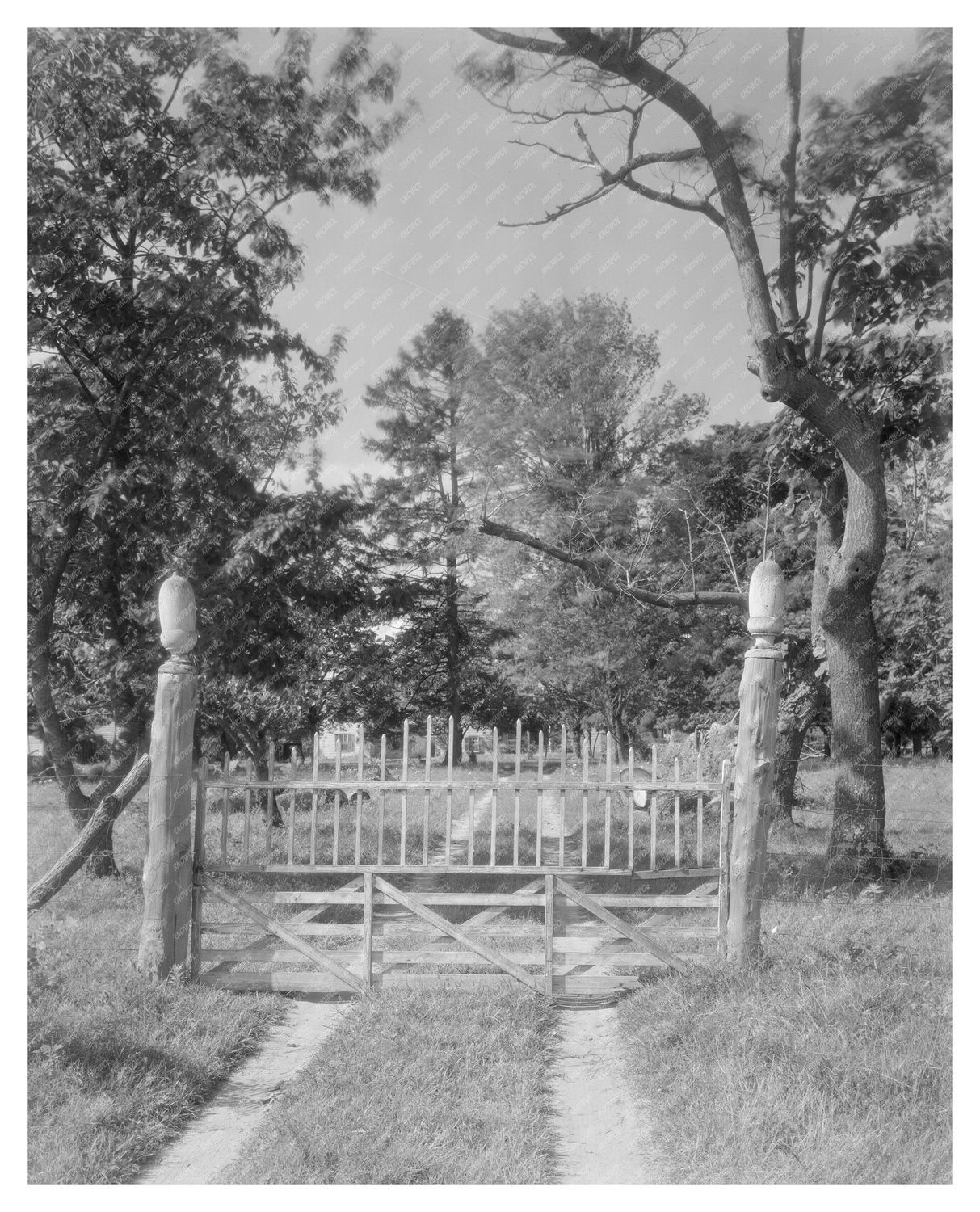 Historic 1640 Property, Accomack County, VA - Carnegie Surve