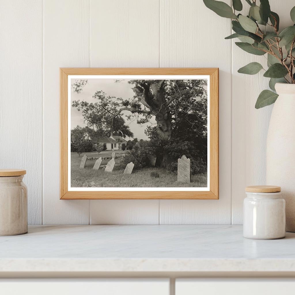 Historic Quinby House, Virginia 1673 - Vintage Photo