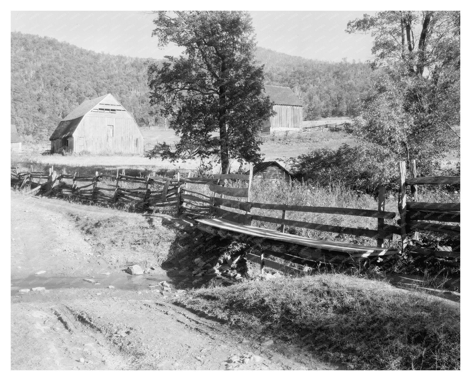Browns Cove, VA Vintage Architecture Photo 20th Century