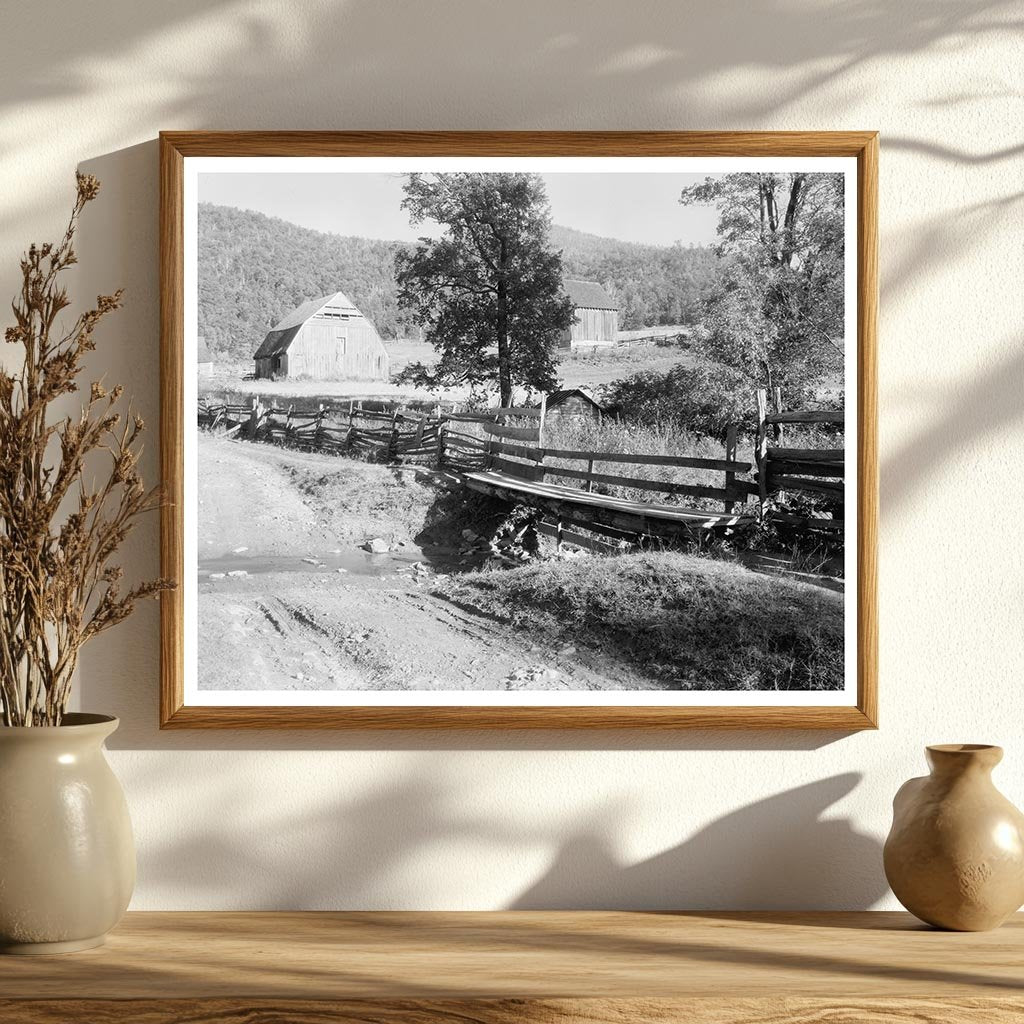 Browns Cove, VA Vintage Architecture Photo 20th Century