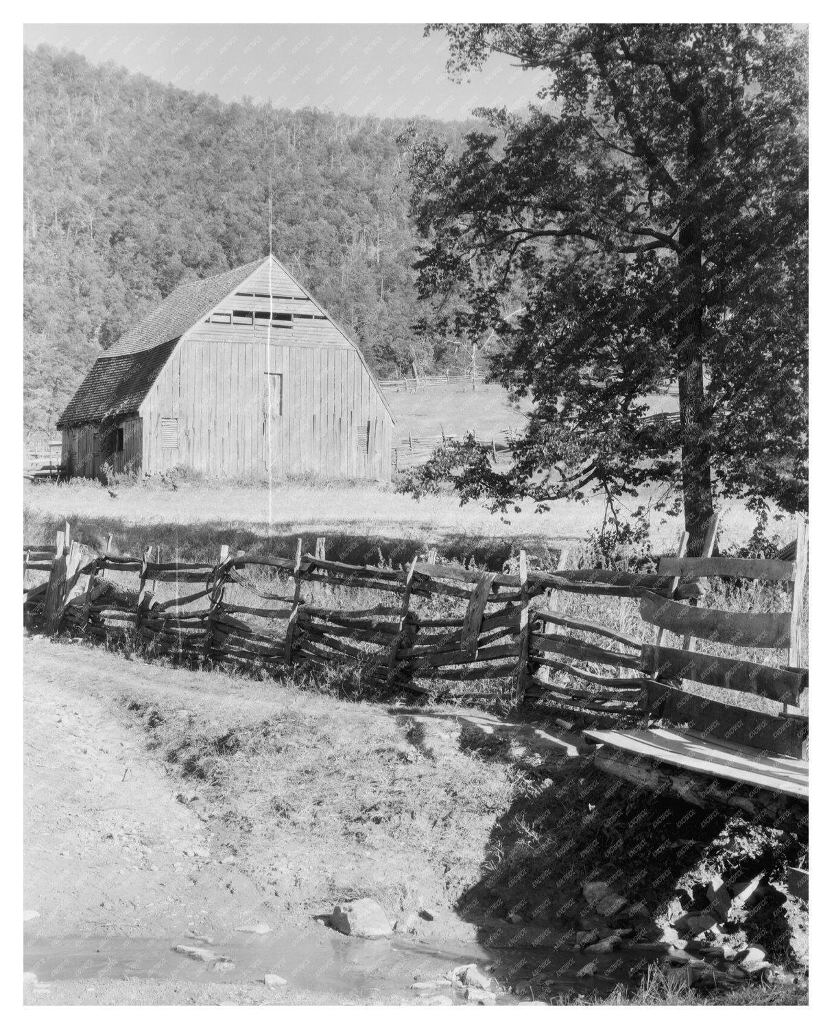 Browns Cove, Albemarle County, VA Vintage Photo, 20th Centur