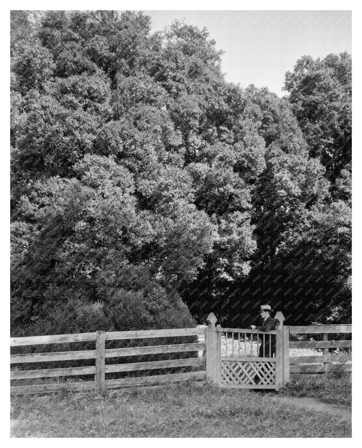 1764 Structure in Albemarle County, Virginia History