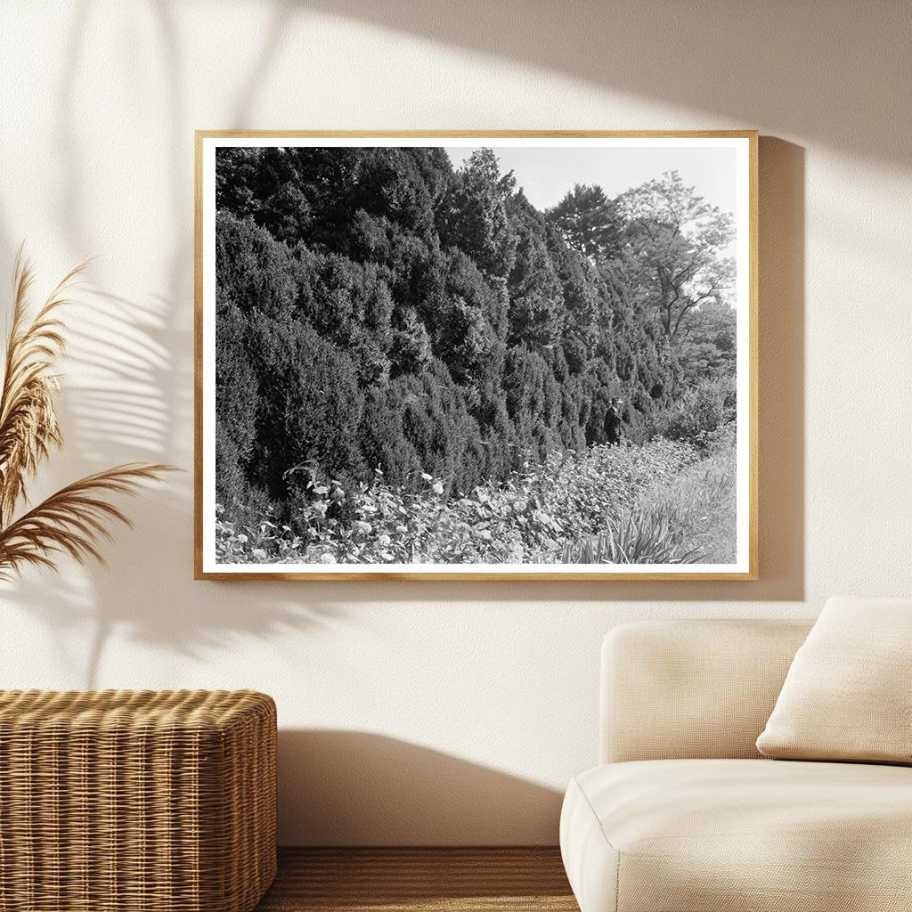 Charlottesville VA Historical Site Photo, 1764