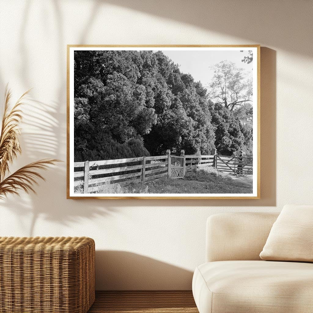 Historic 1764 Building in Charlottesville, VA