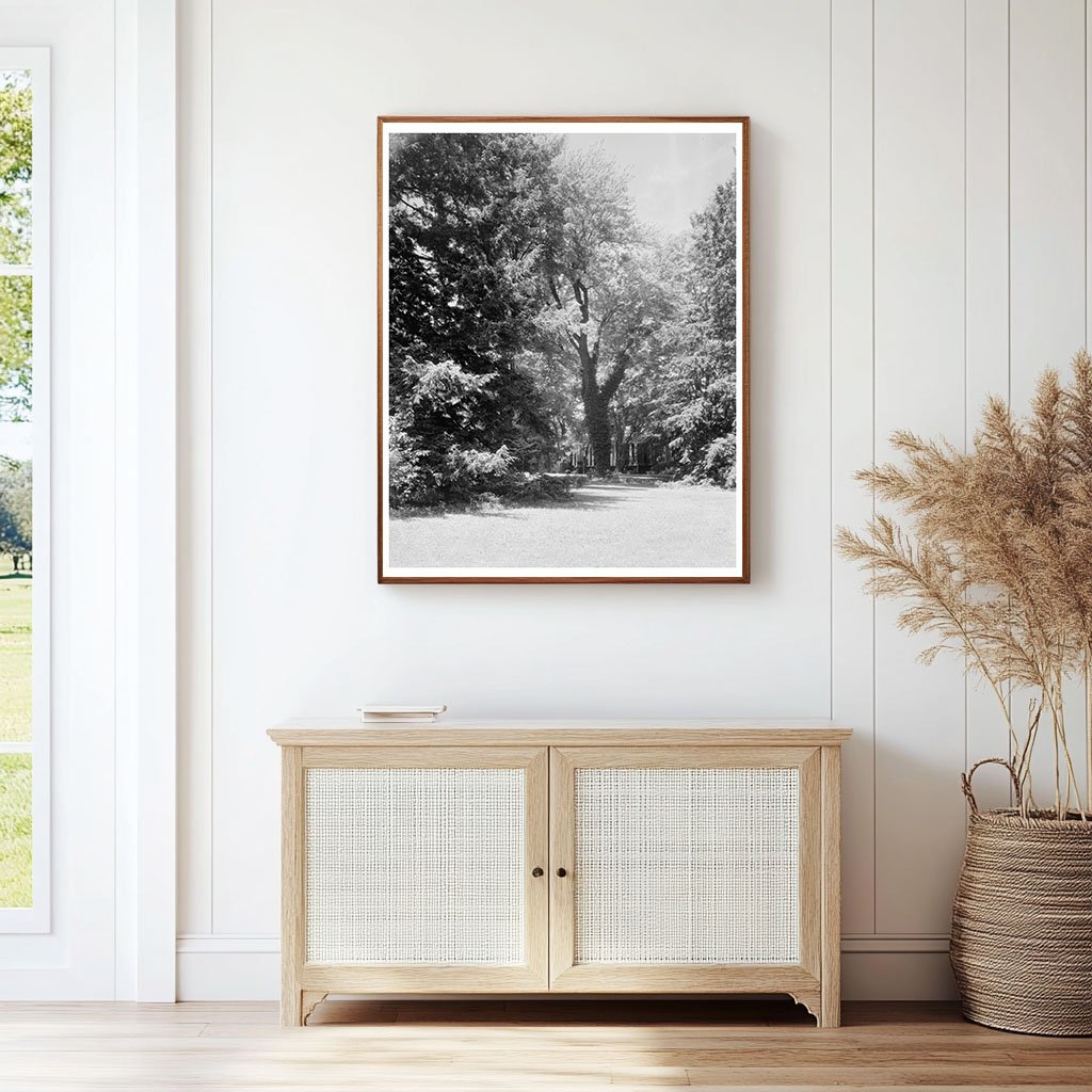 1850 Architecture of Green Mountain, VA Vintage Photo