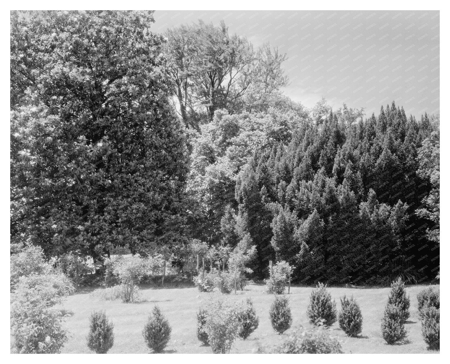 1850 Structure in Green Mountain, VA - Historical Photograph