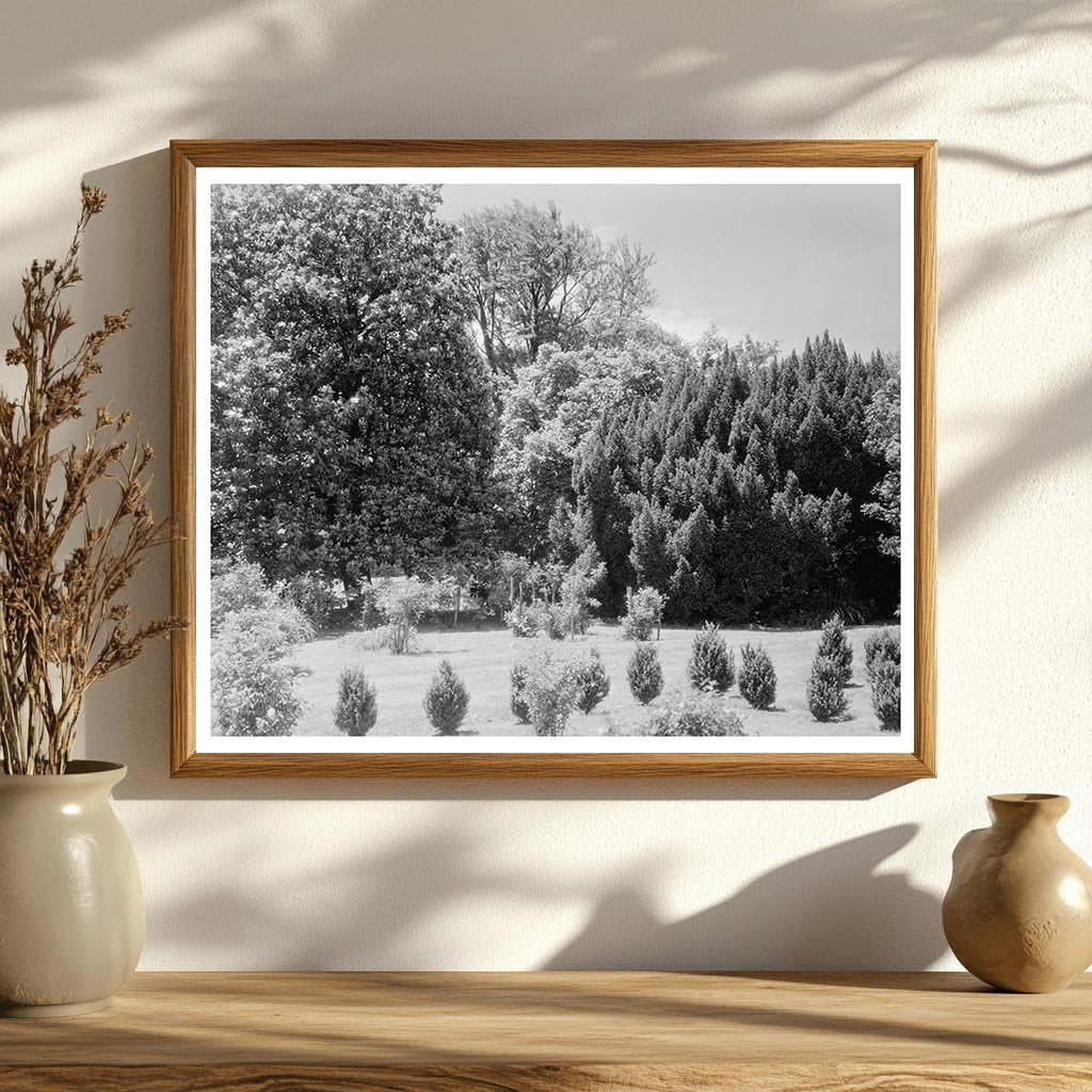 1850 Structure in Green Mountain, VA - Historical Photograph