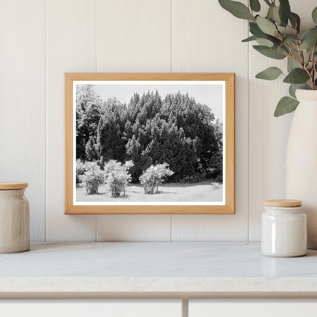 Historic Green Mountain Lodge, Albemarle VA, 1850