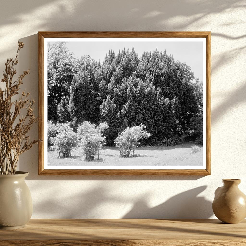 Historic Green Mountain Lodge, Albemarle VA, 1850