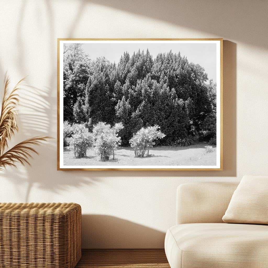 Historic Green Mountain Lodge, Albemarle VA, 1850