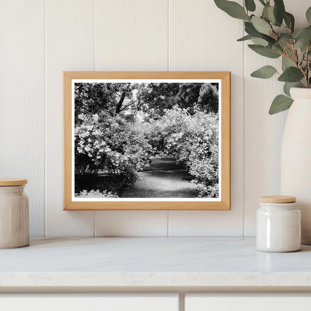 1953 Vintage Photo of Green Mountain, Virginia Heritage