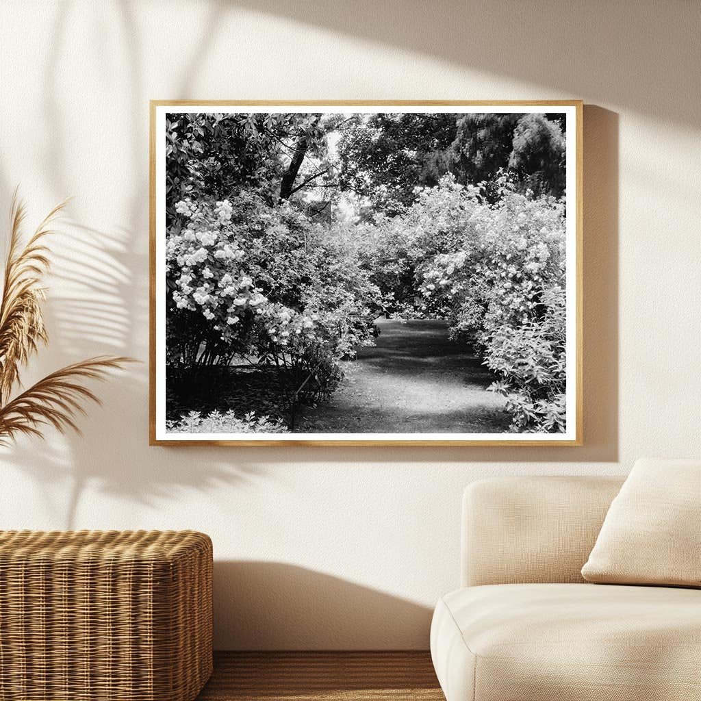 1953 Vintage Photo of Green Mountain, Virginia Heritage