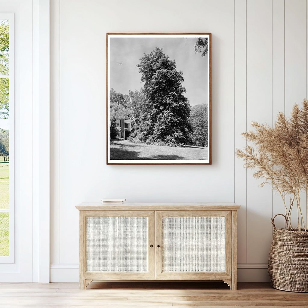 Albemarle County, VA Architecture, 1850 Historical Image