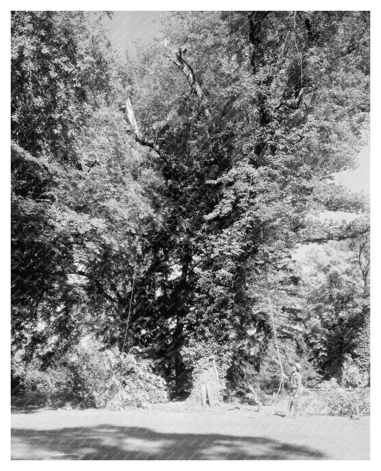 Green Mountain, VA Historic Structure Photo, 1850