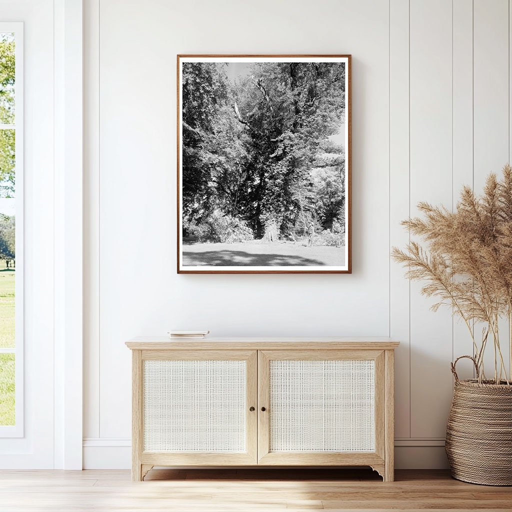 Green Mountain, VA Historic Structure Photo, 1850