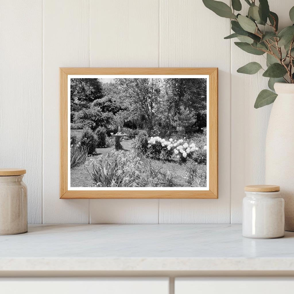 Green Mountain, VA Architecture, 1850 - Historical Image