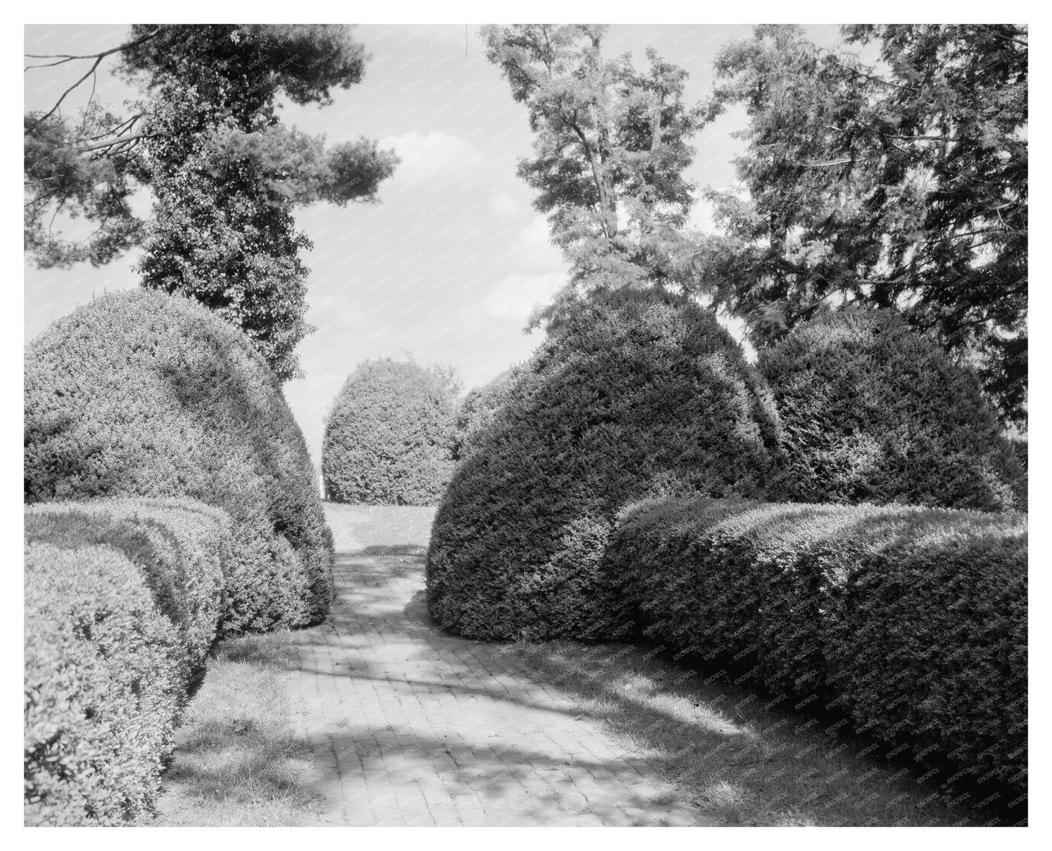 Charlottesville VA Vintage Garden Photo, Early 20th Century
